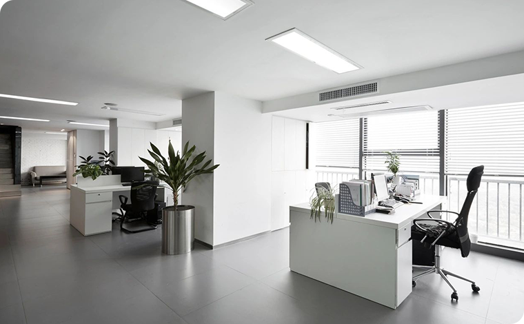 A white office with a plant in the middle of the room.